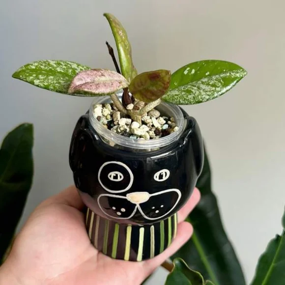 Ceramic Family Dog Outdoor Planter - Threshold - Picture 2 of 9